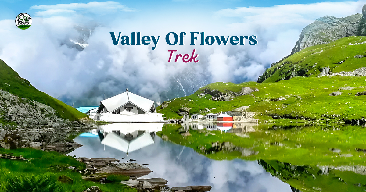 Ultimate Guide to Visiting Valley of Flowers in Rainy Season 2025